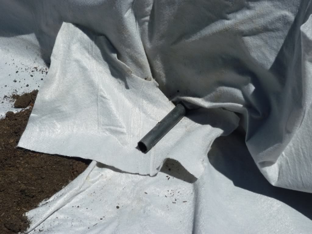 Wicking Beds Petar's Blog